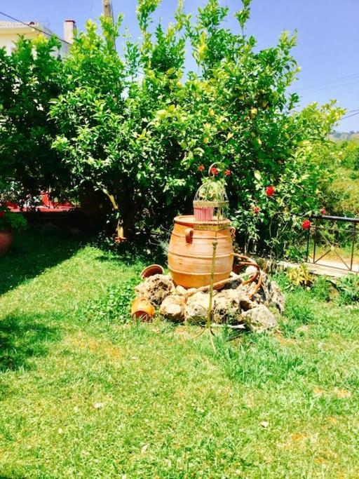 伊古迈尼察Διαμέρισμα Στην Περιοχή Εθνικής Αντίστασης公寓 外观 照片